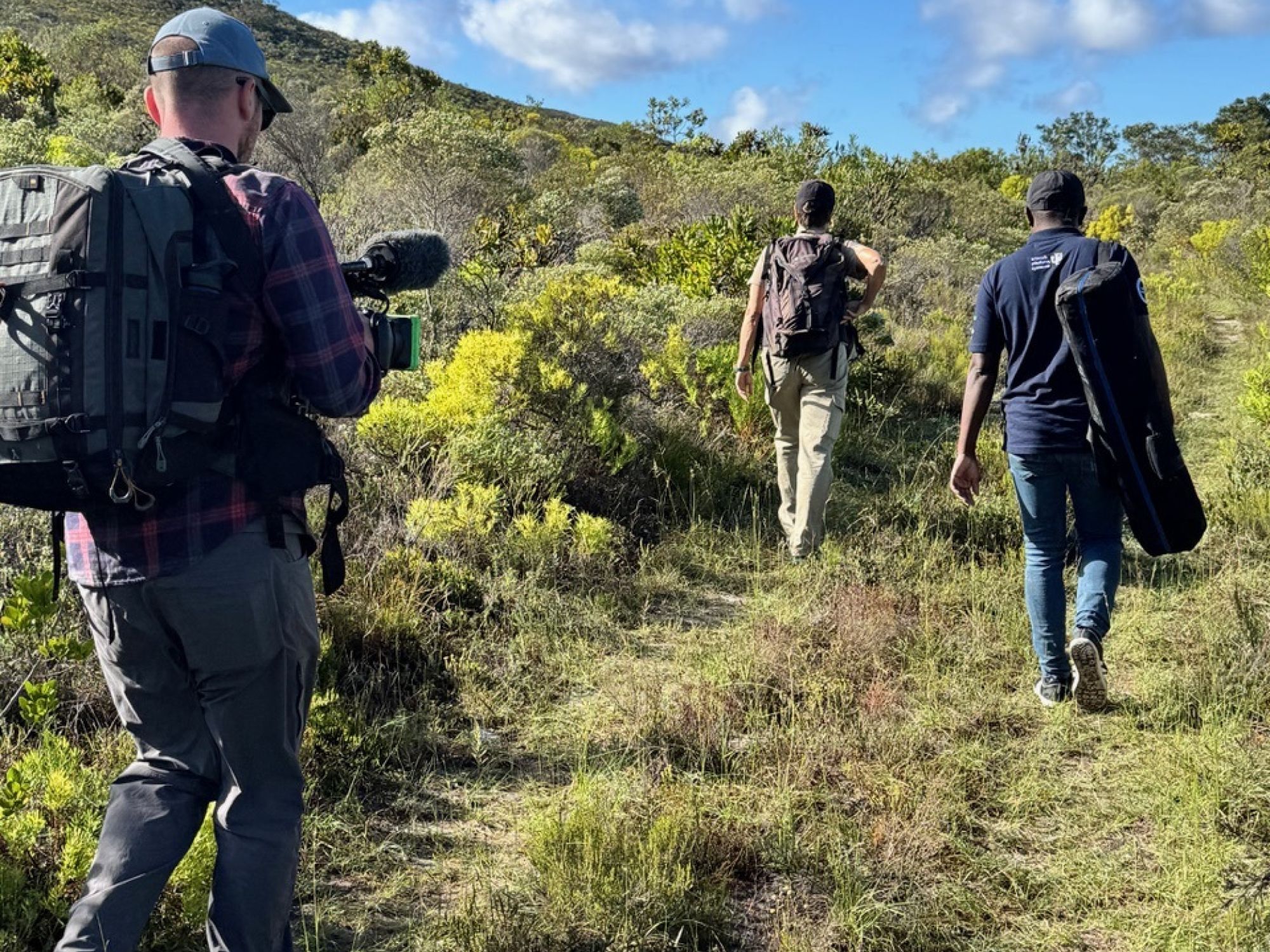 Image related to website content Image related to website content