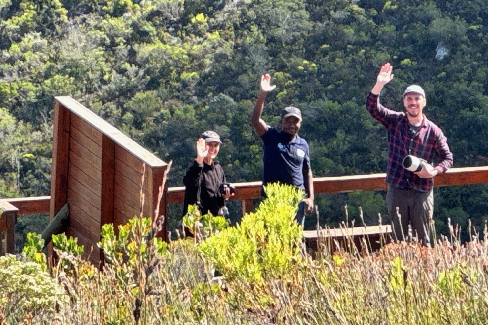 Image related to website content Image related to website content