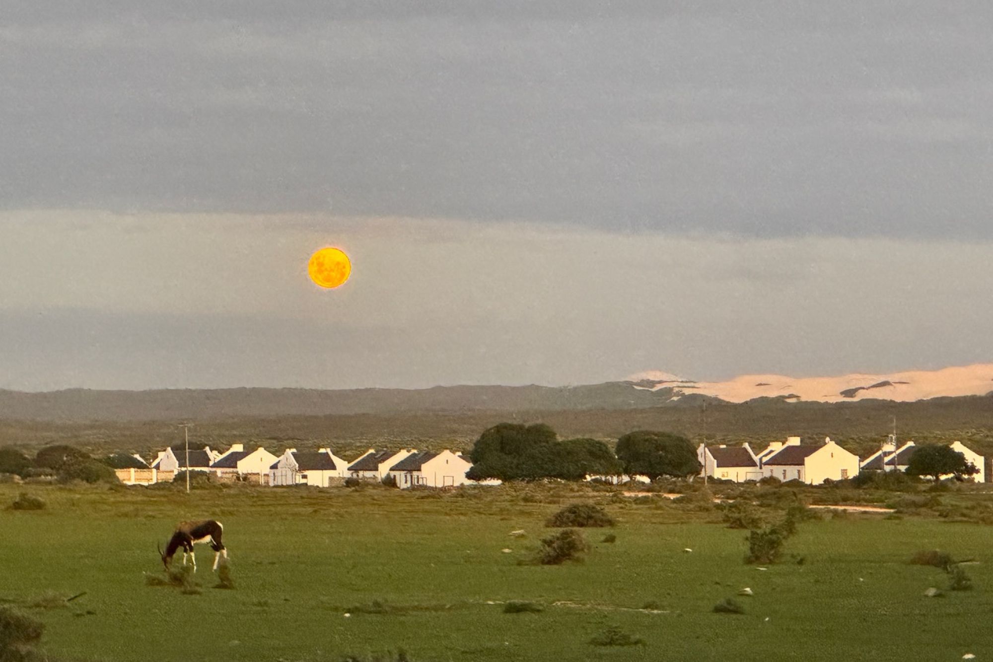 Image related to website content Image related to website content