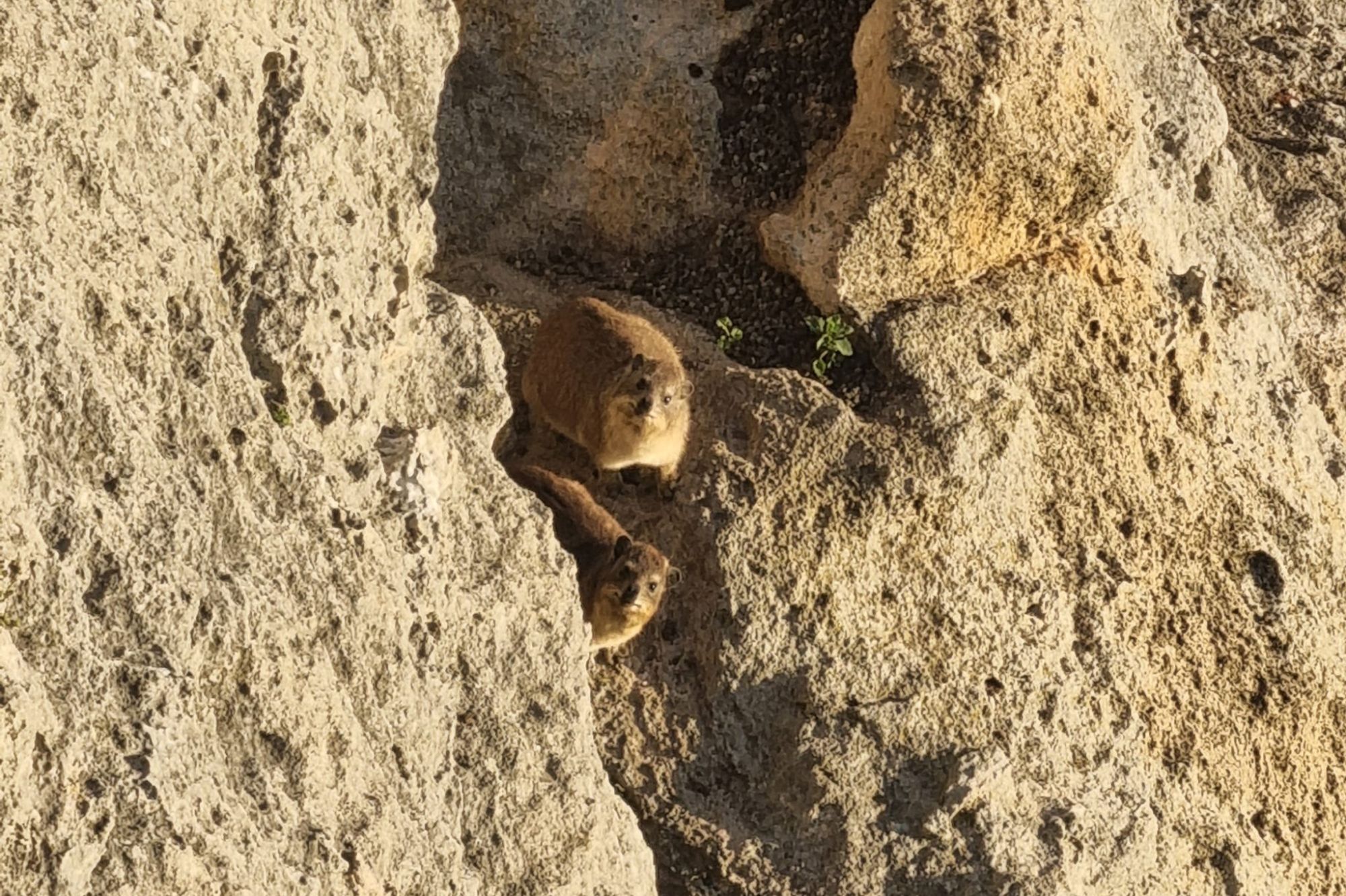 Image related to website content Image related to website content