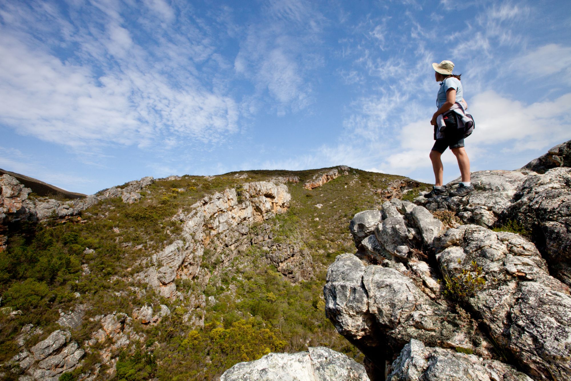 Image related to website content Image related to website content