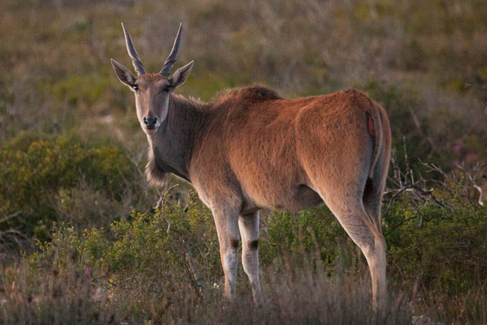 Image related to website content Image related to website content