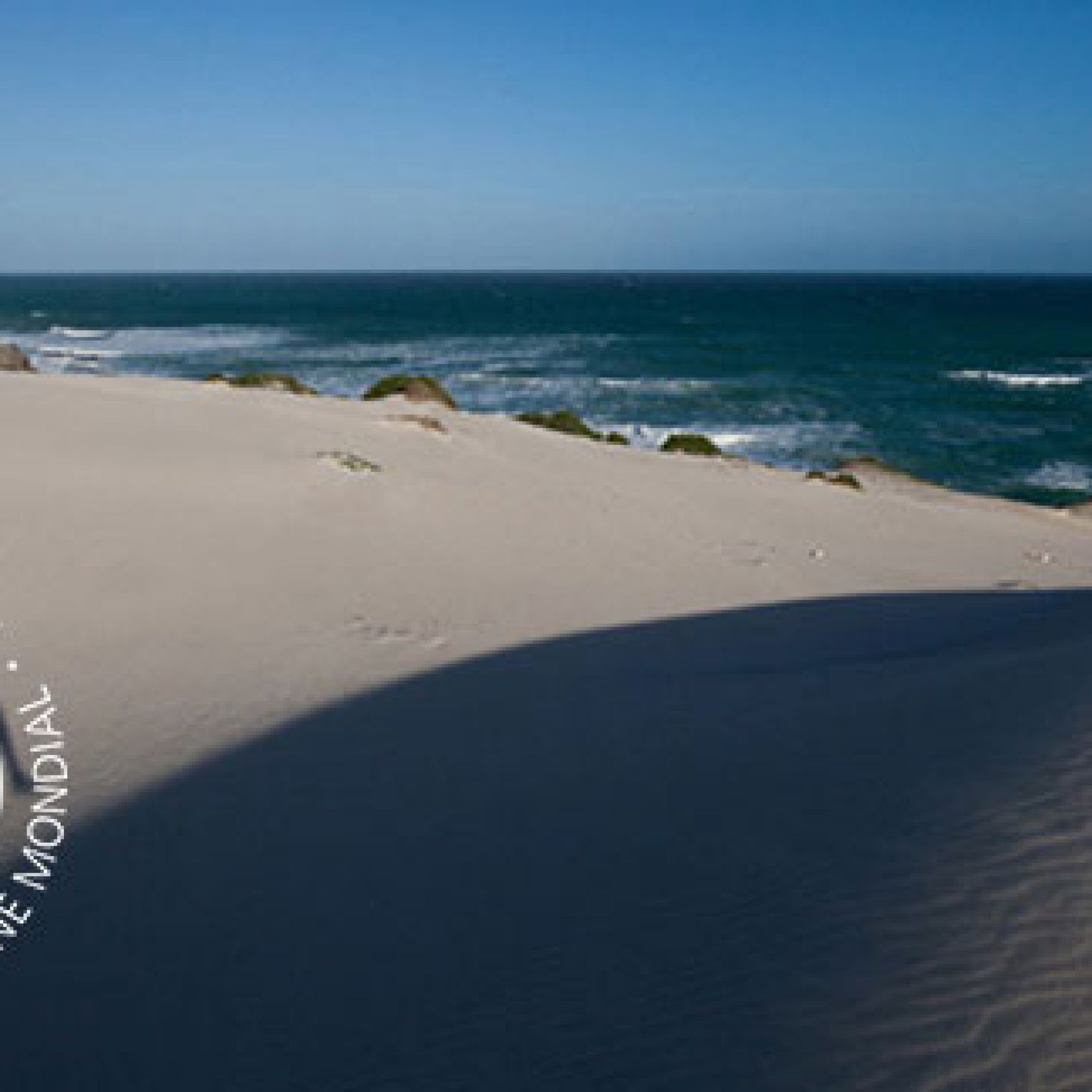 De Hoop Nature reserve image with WHS logo 6
