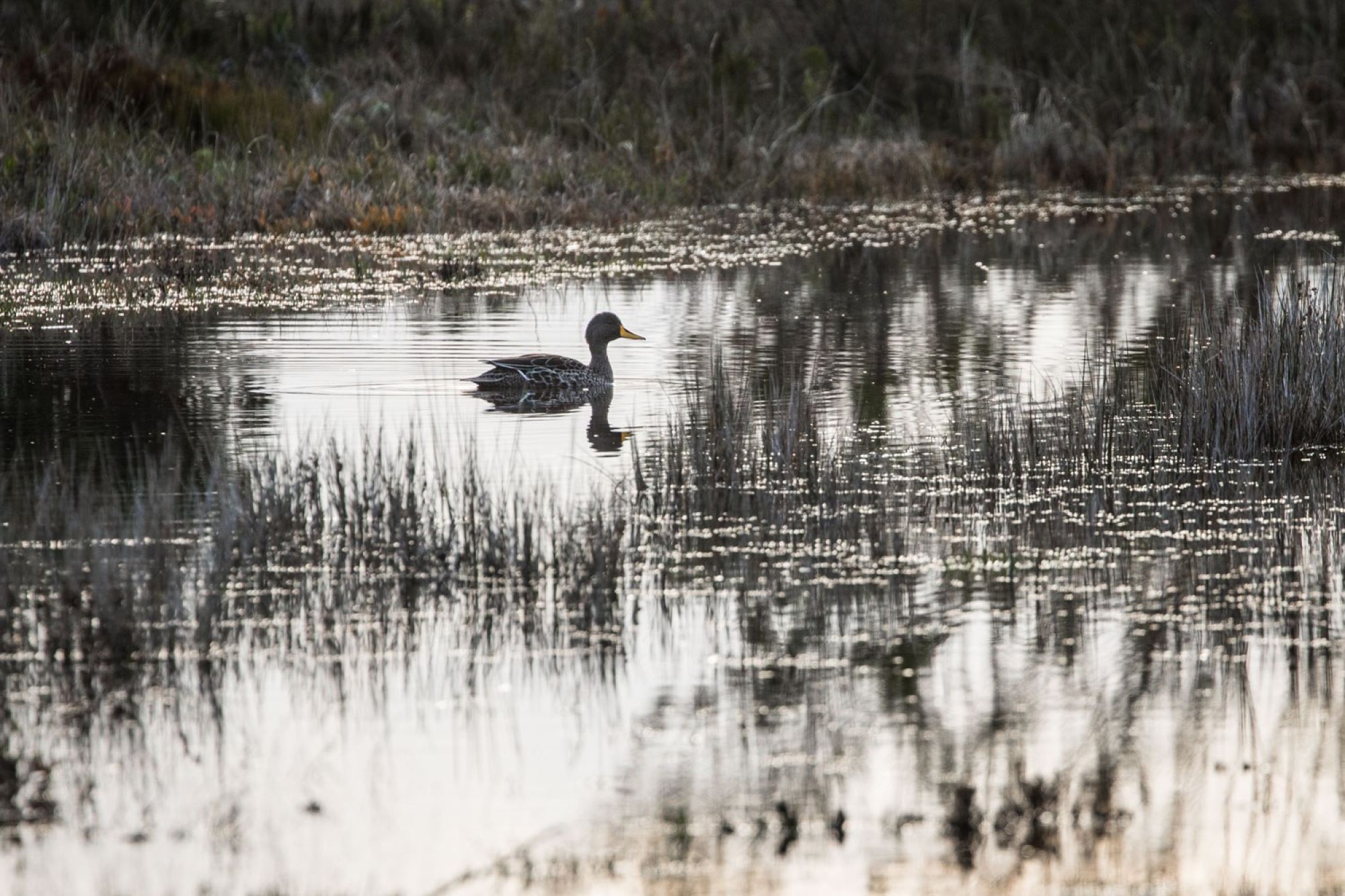 Image related to website content Image related to website content