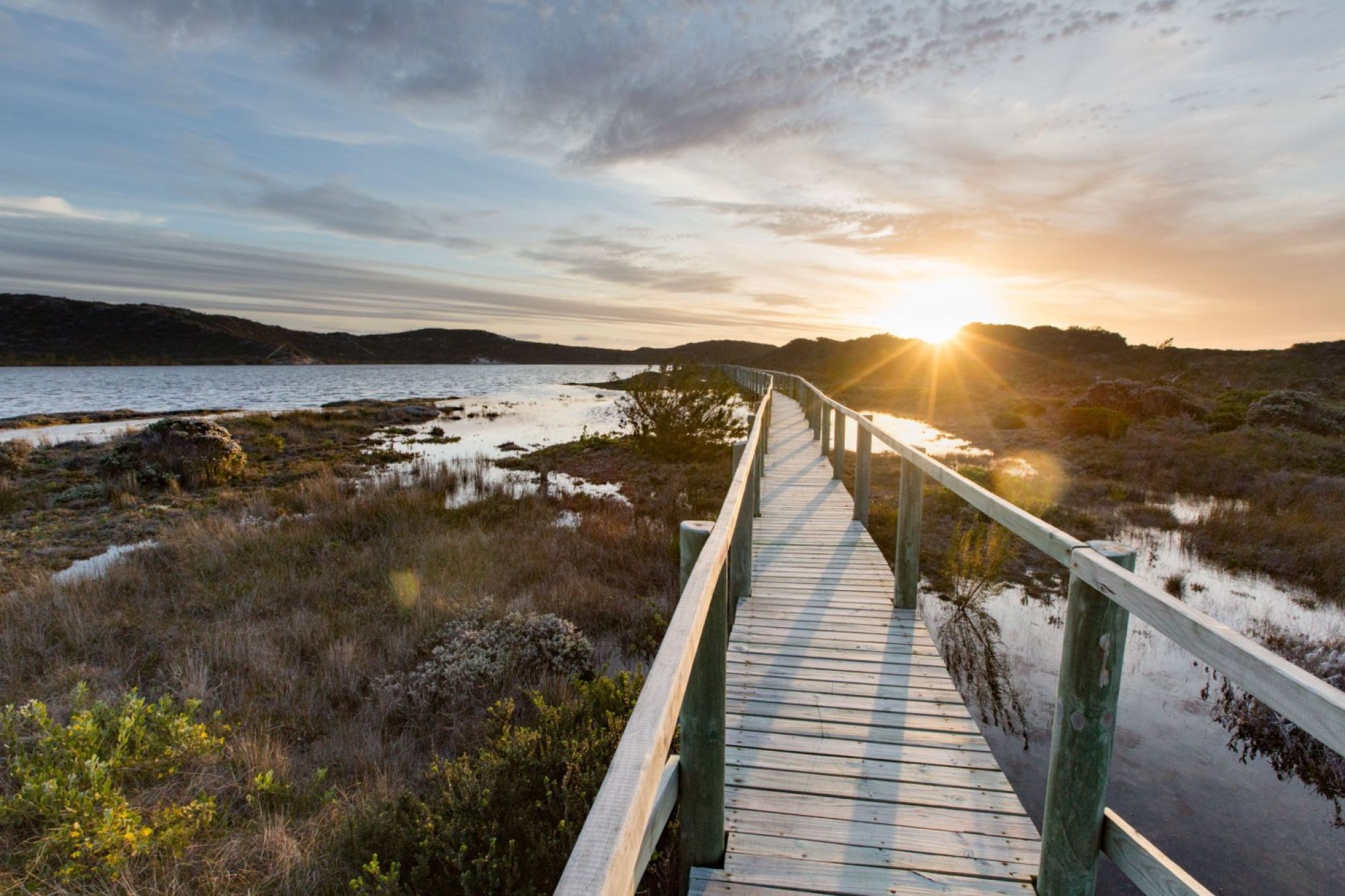 Image related to website content Image related to website content