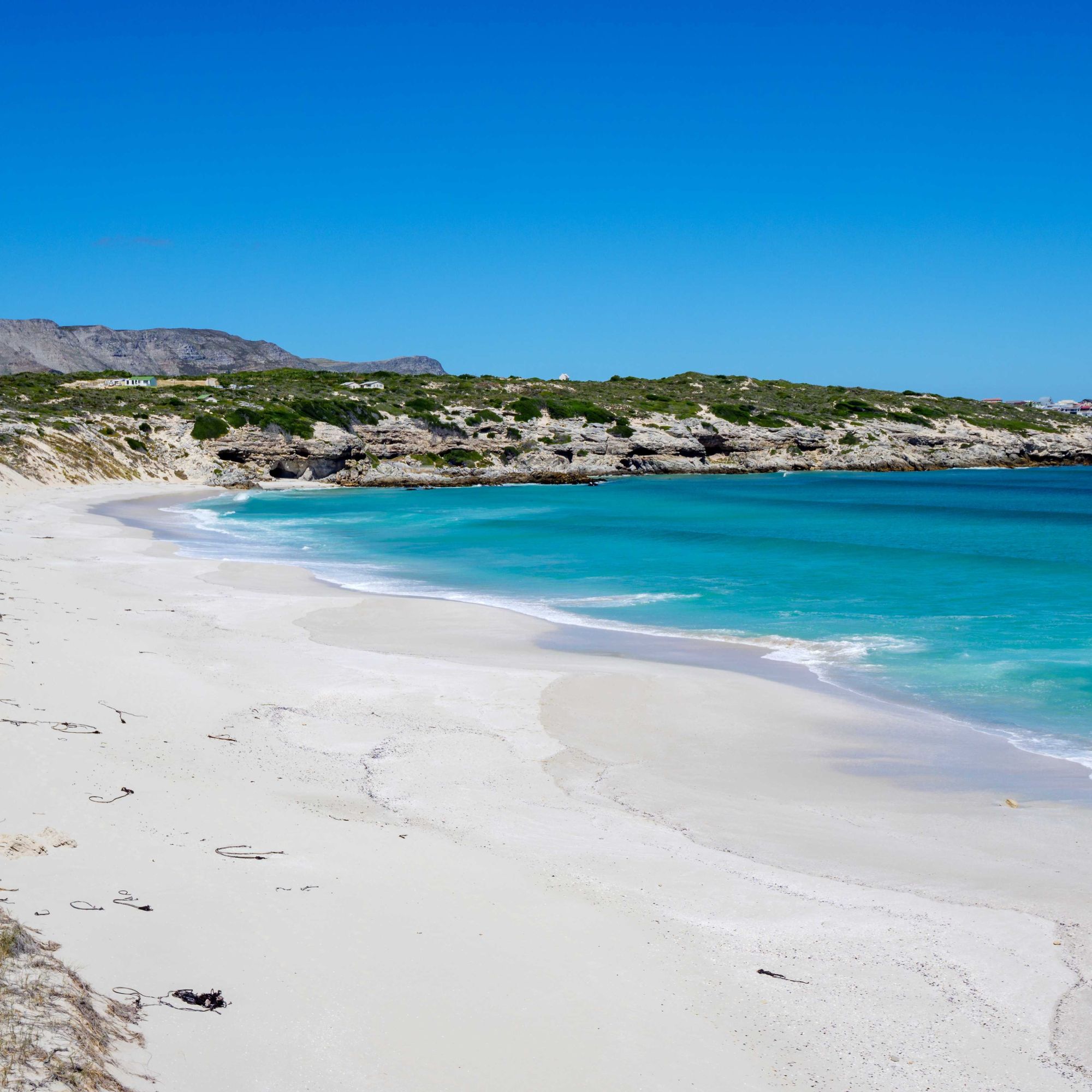 Die Plaat beach web