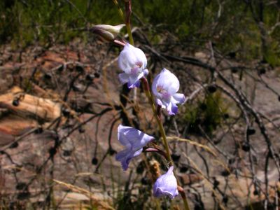 Image related to website content Image related to website content