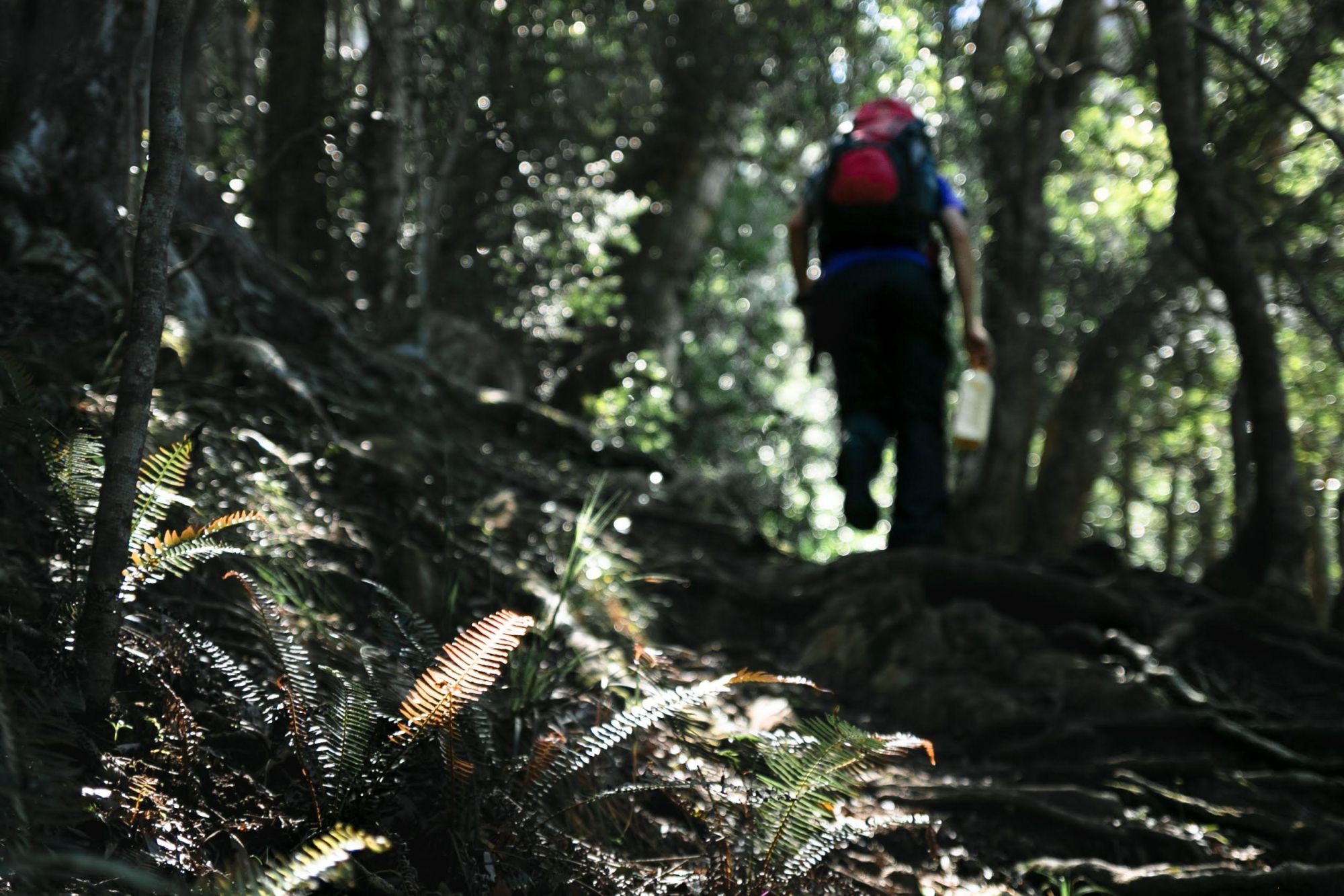 Image related to website content Image related to website content