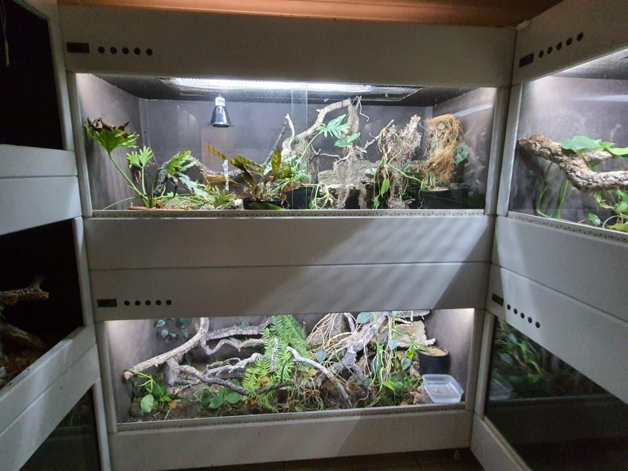 Image related to website content Image related to website content