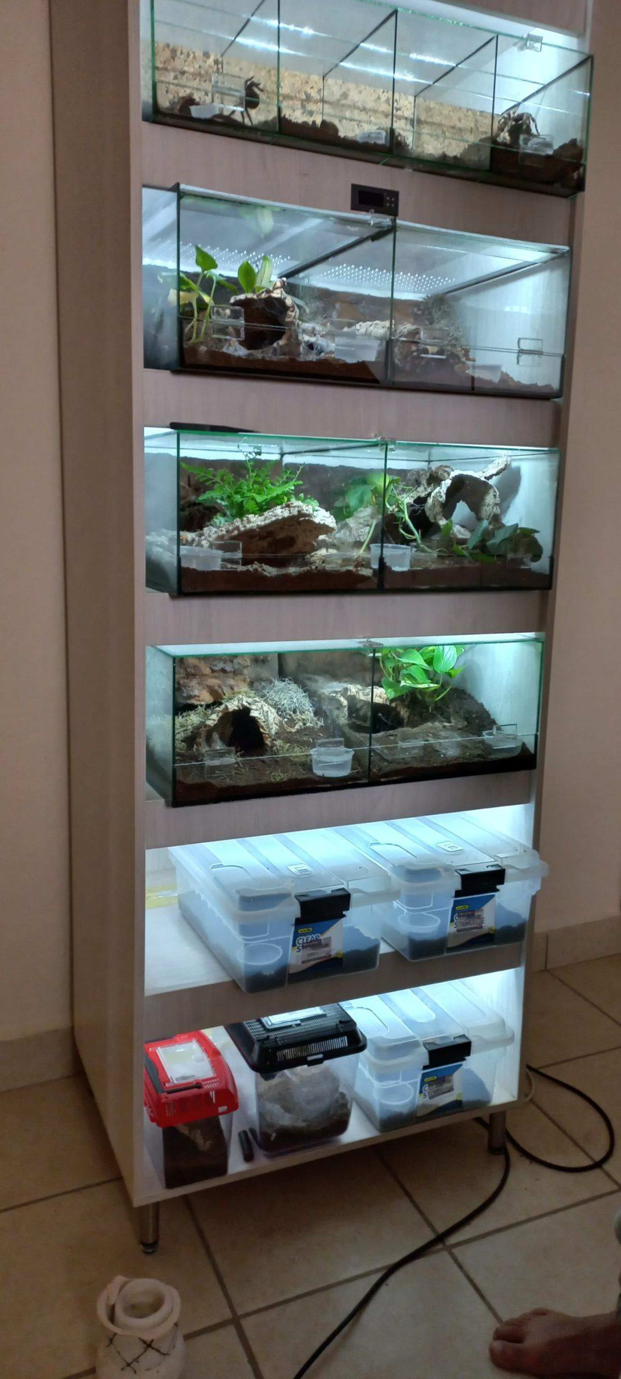 Image related to website content Image related to website content