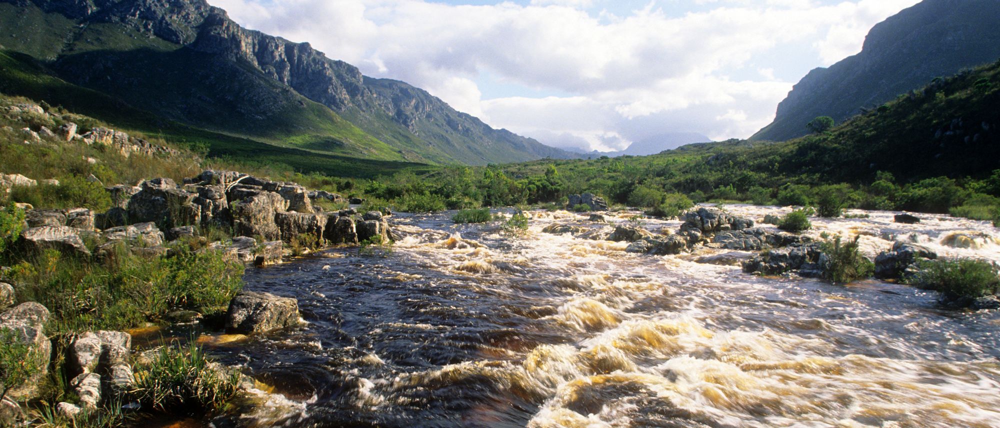 Image related to website content Image related to website content