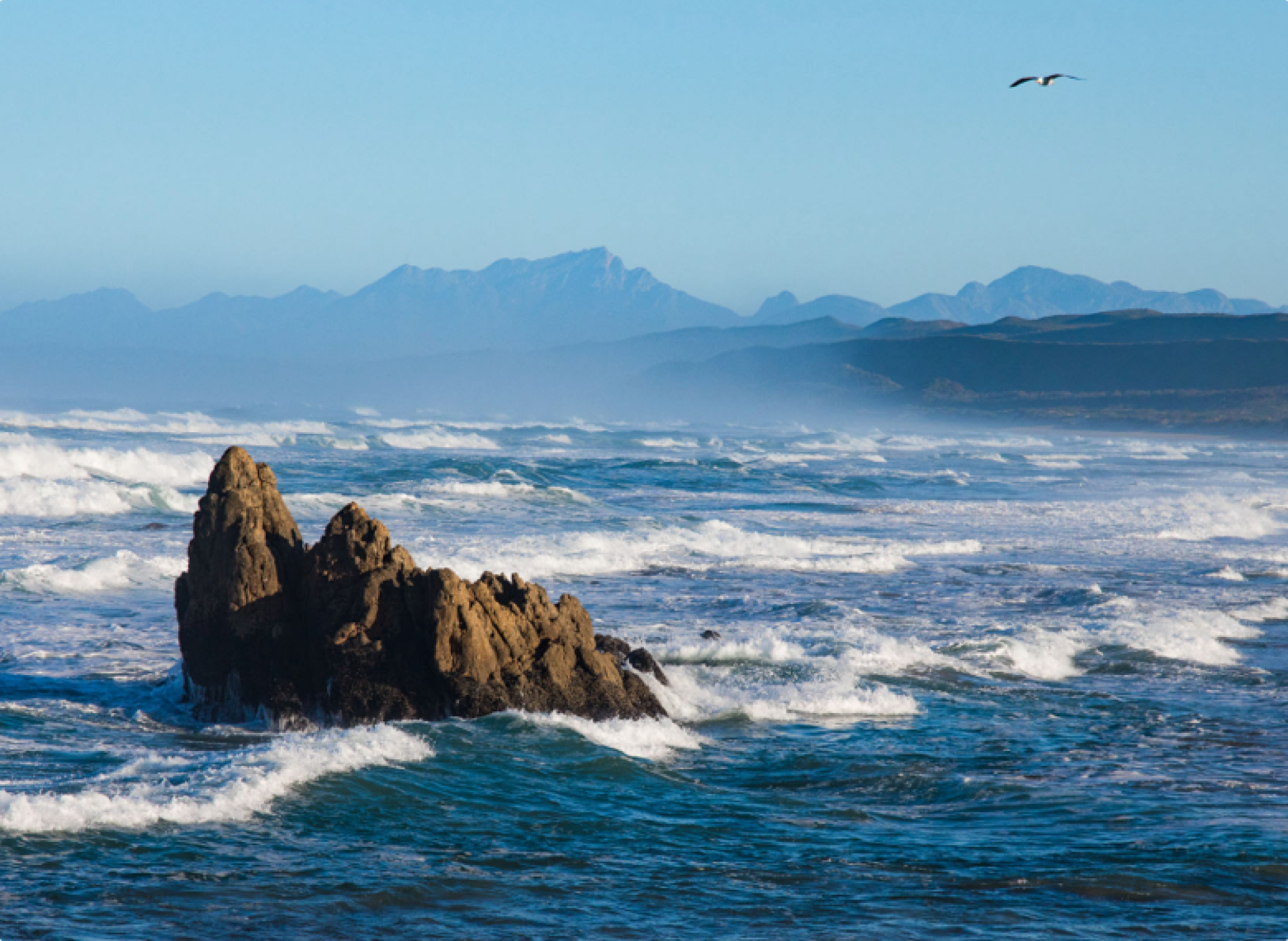 Image related to website content Image related to website content