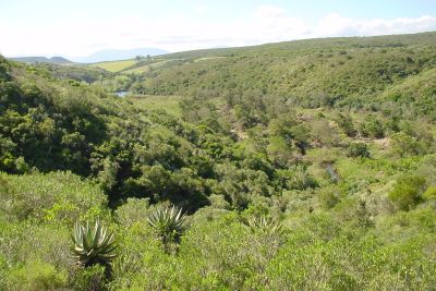 Image related to website content Image related to website content