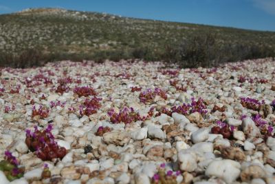 Image related to website content Image related to website content