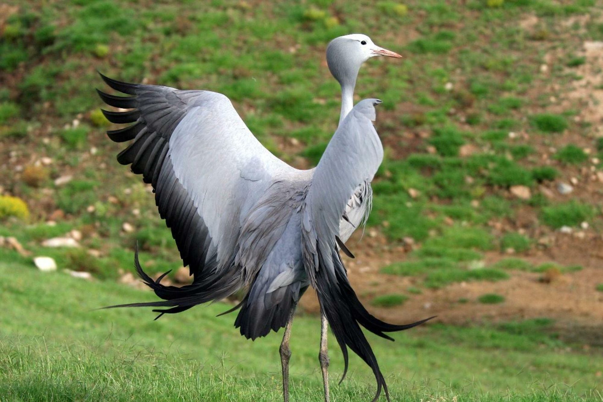 Image related to website content Image related to website content