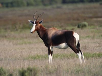 Image related to website content Image related to website content