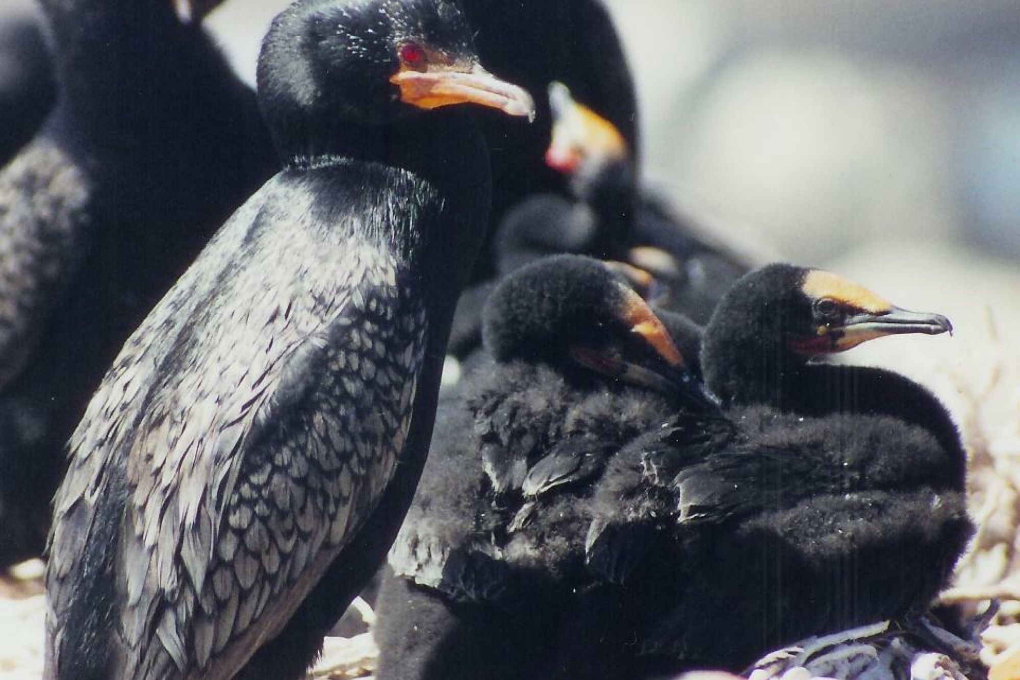 Image related to website content Image related to website content