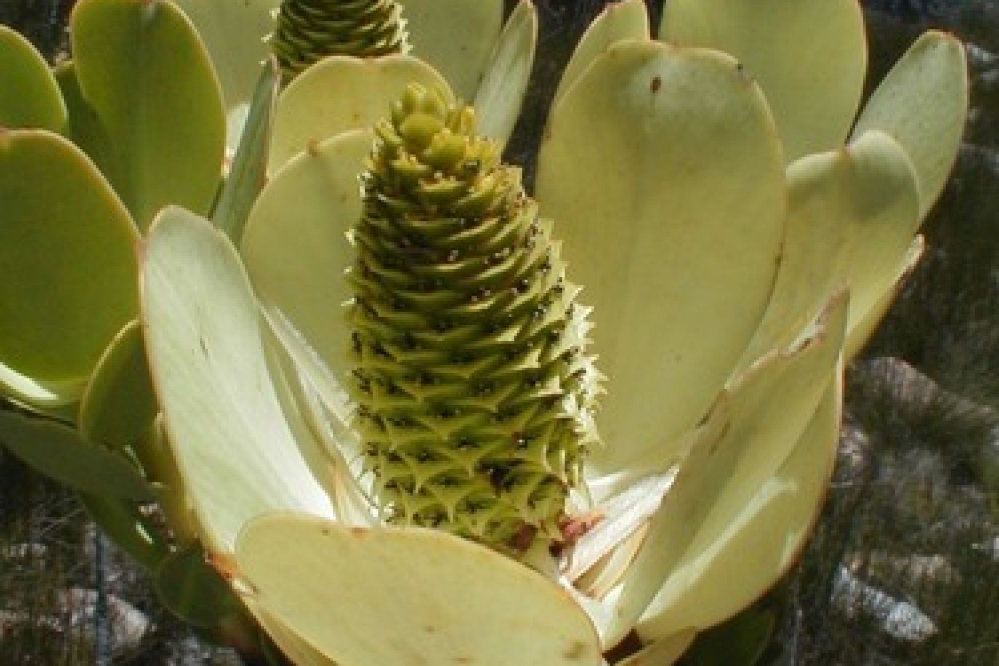 Image related to website content Image related to website content