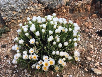 Image related to website content Image related to website content