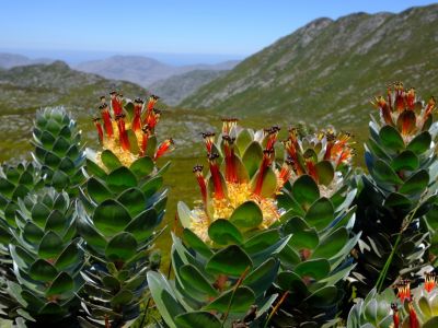 Image related to website content Image related to website content