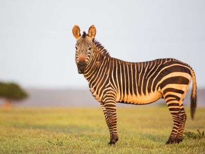 Image related to website content Image related to website content