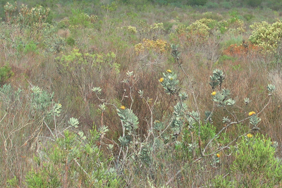 Image related to website content Image related to website content