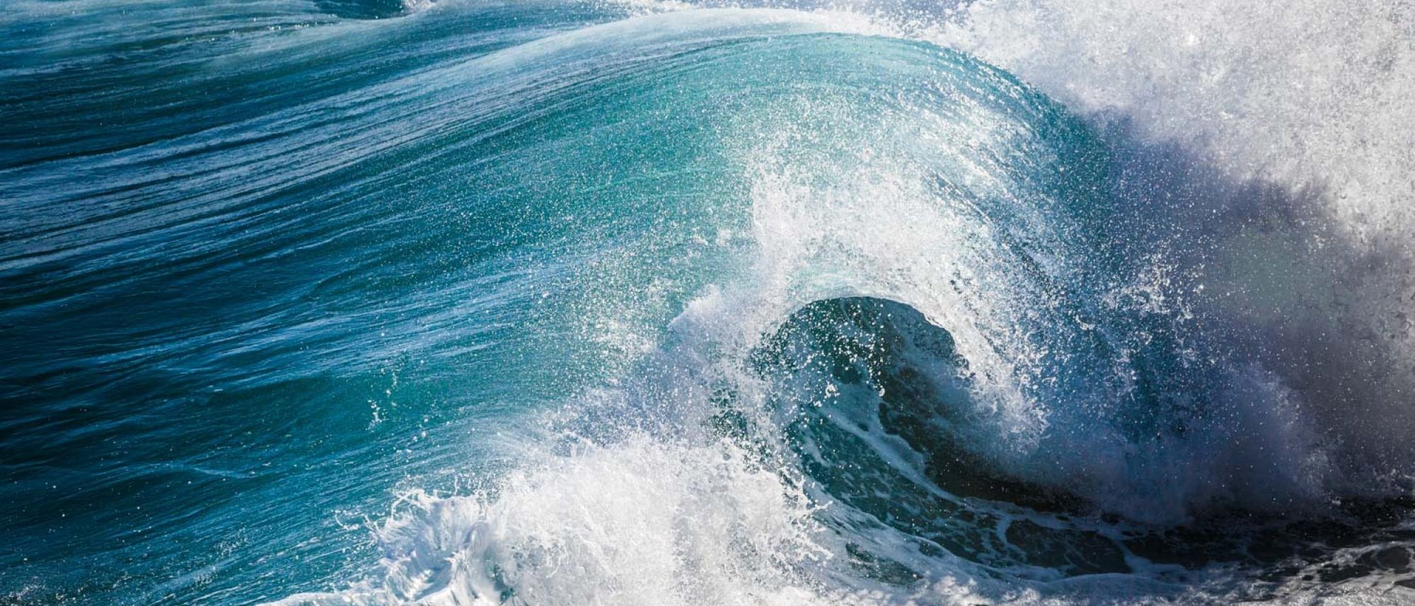 Image related to website content Image related to website content