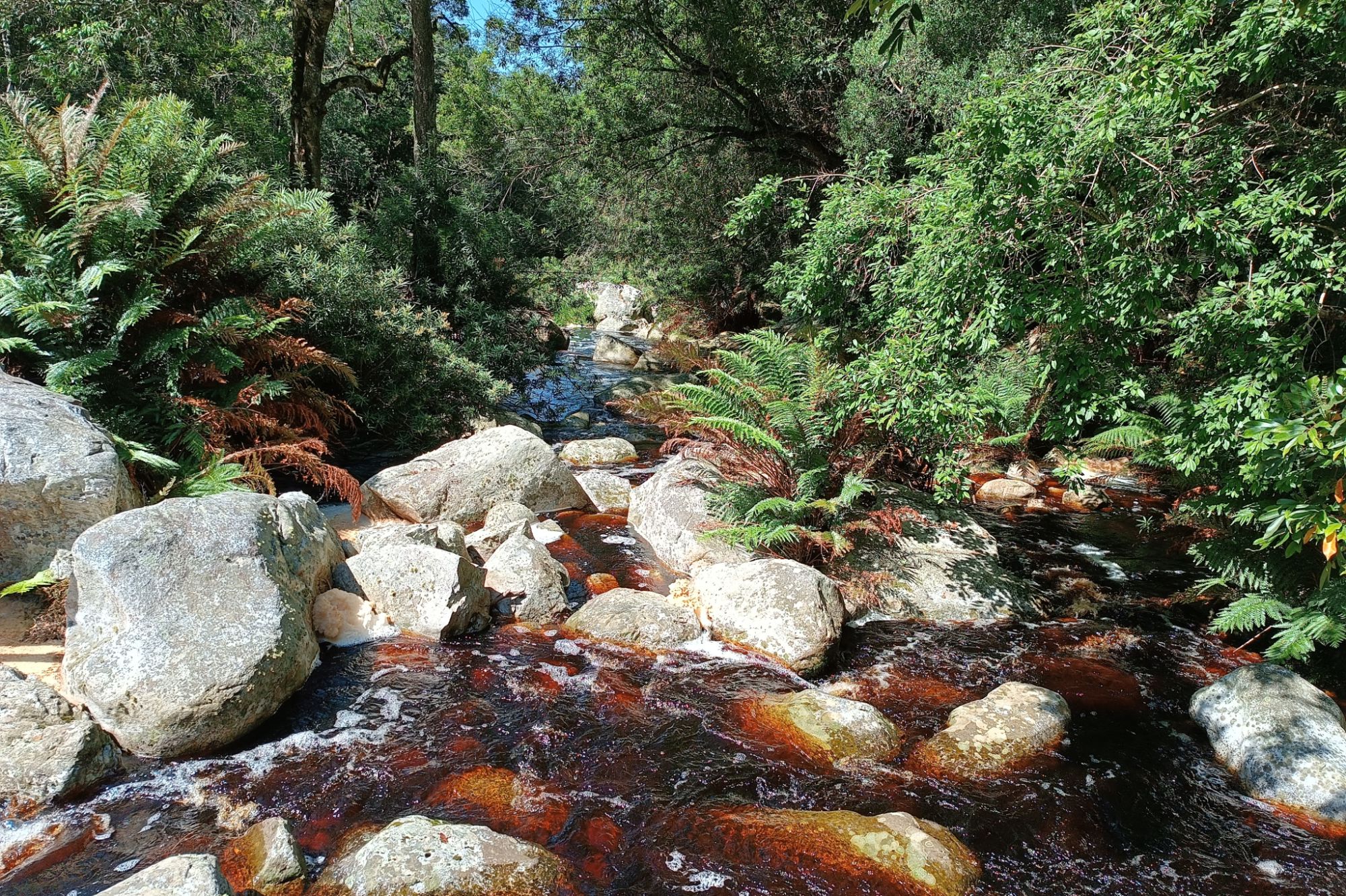 Image related to website content Image related to website content