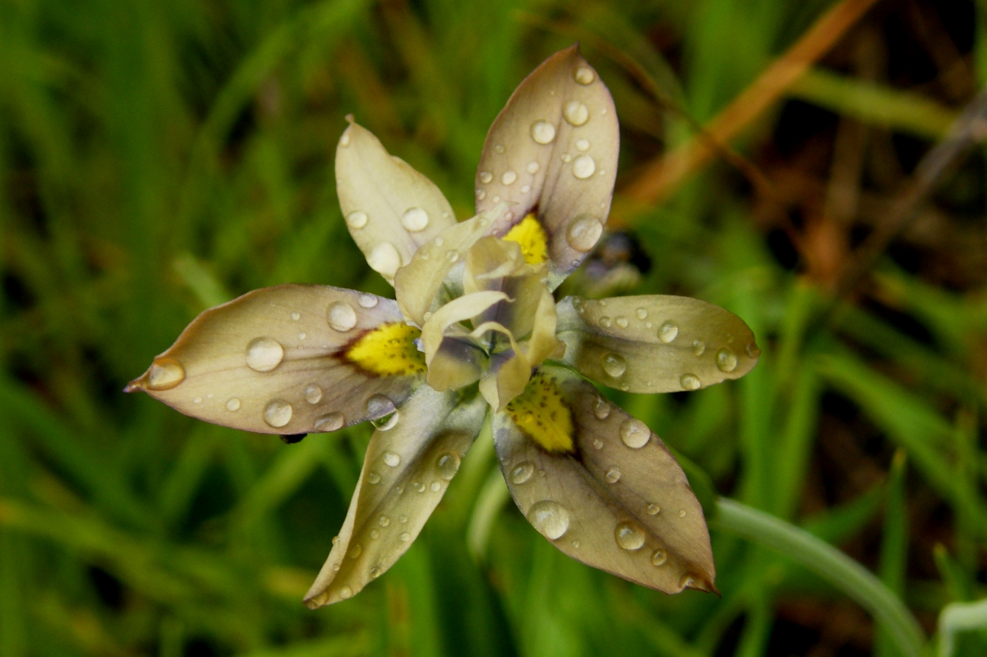 Image related to website content Image related to website content