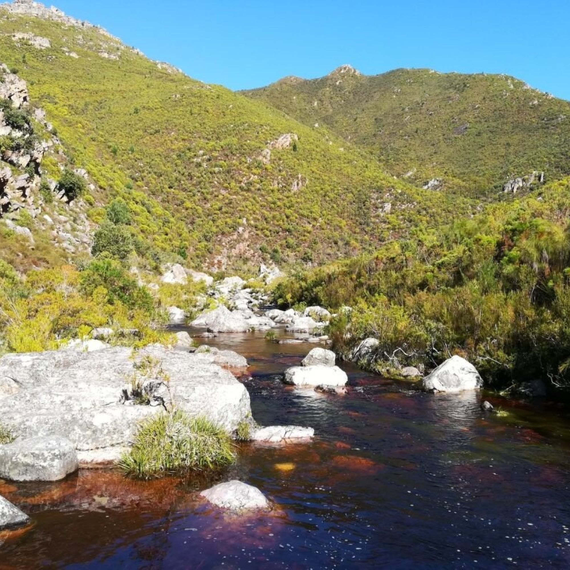 Image related to website content Image related to website content