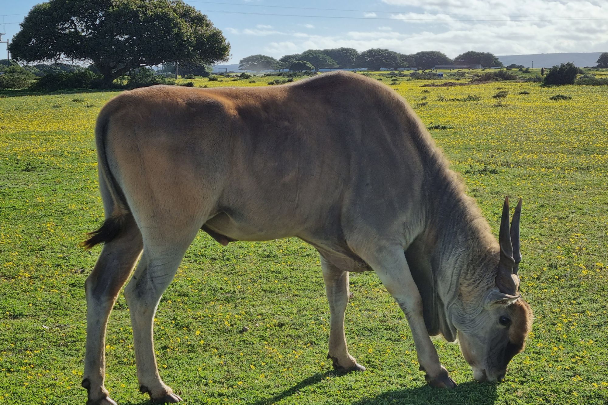 Image related to website content Image related to website content