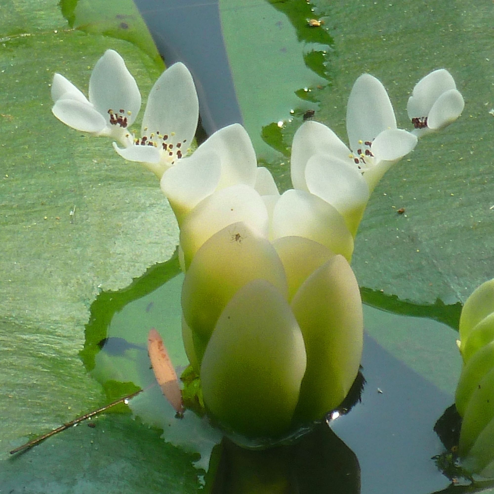 Image related to website content Image related to website content