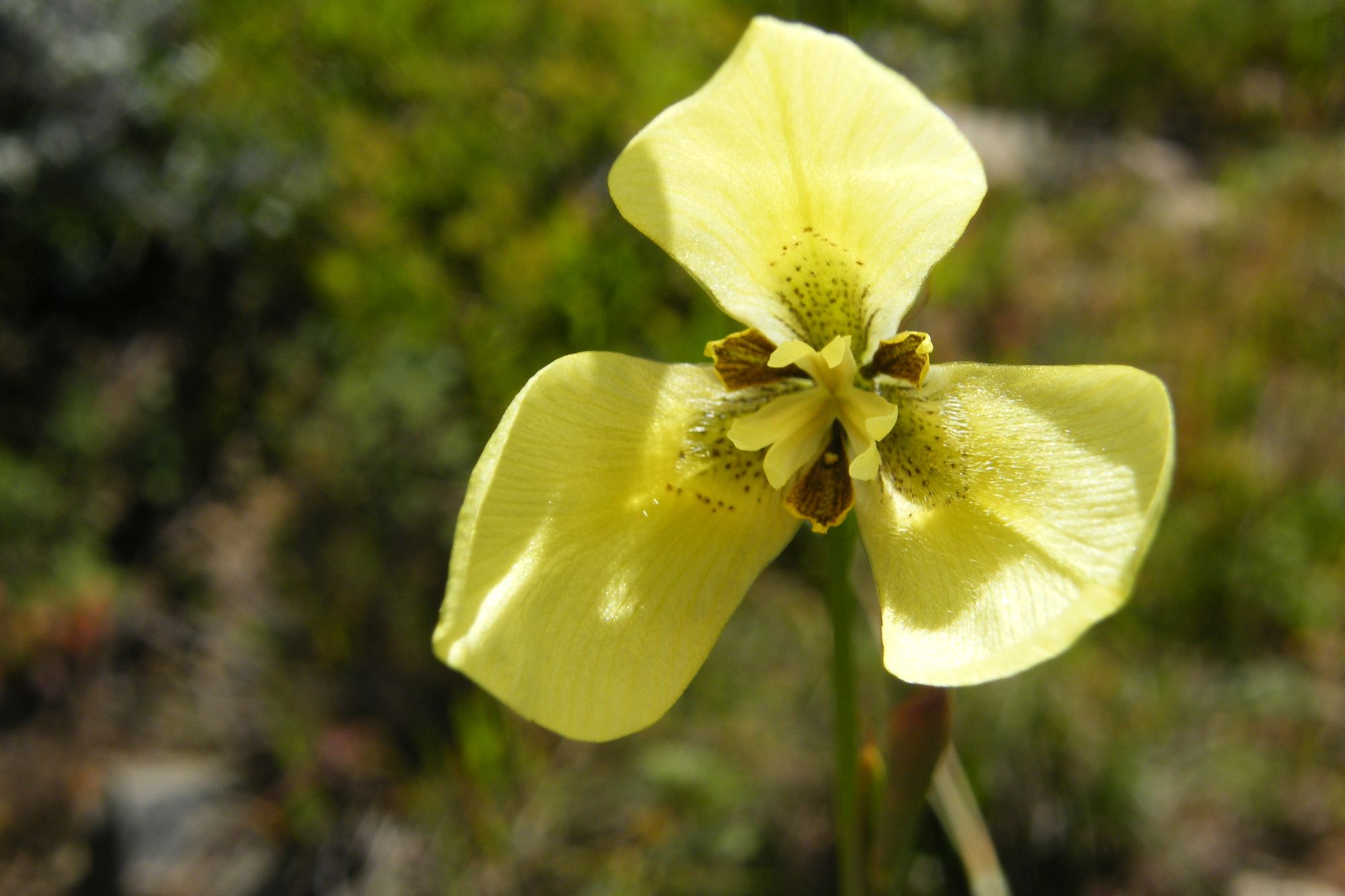 Image related to website content Image related to website content