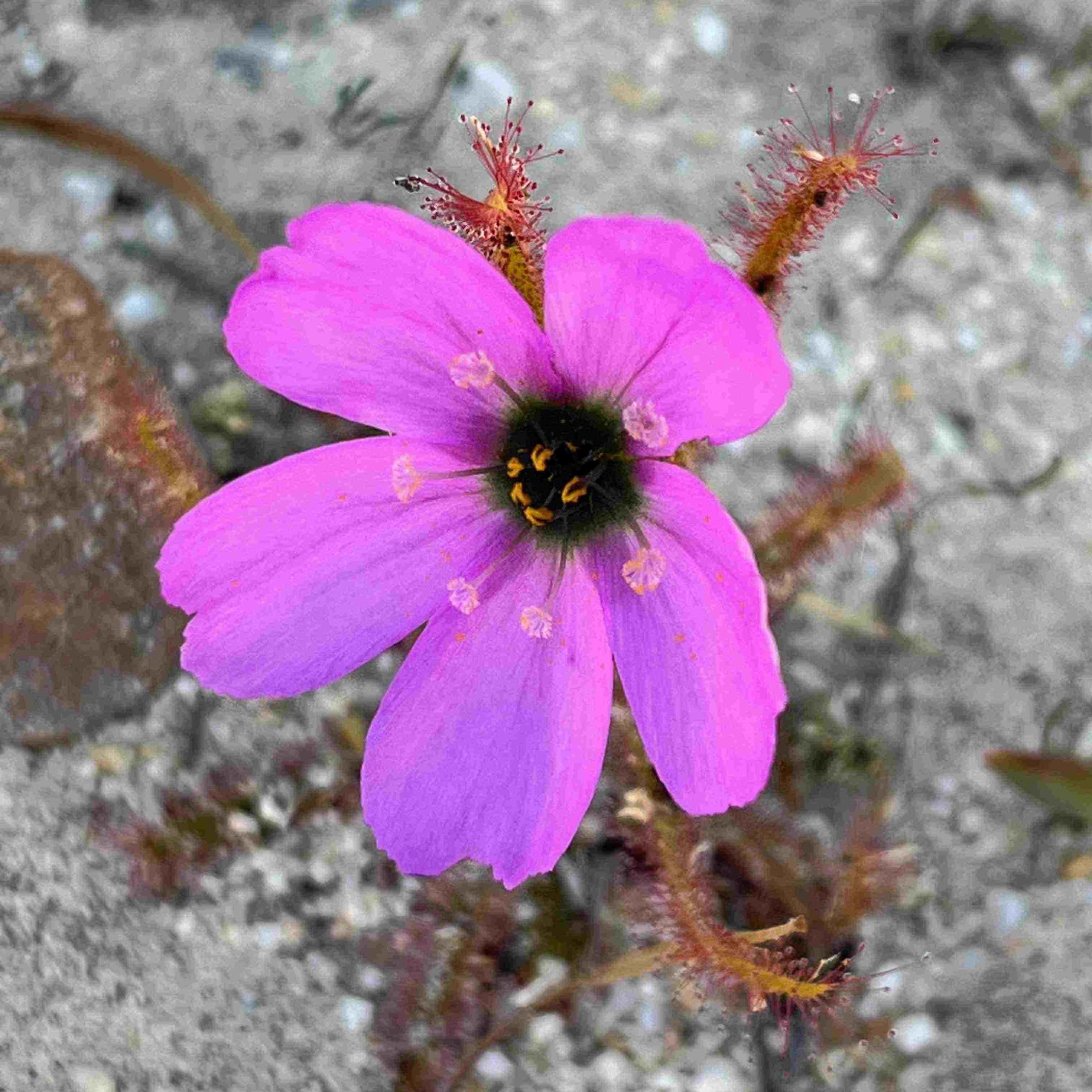 Image related to website content Image related to website content