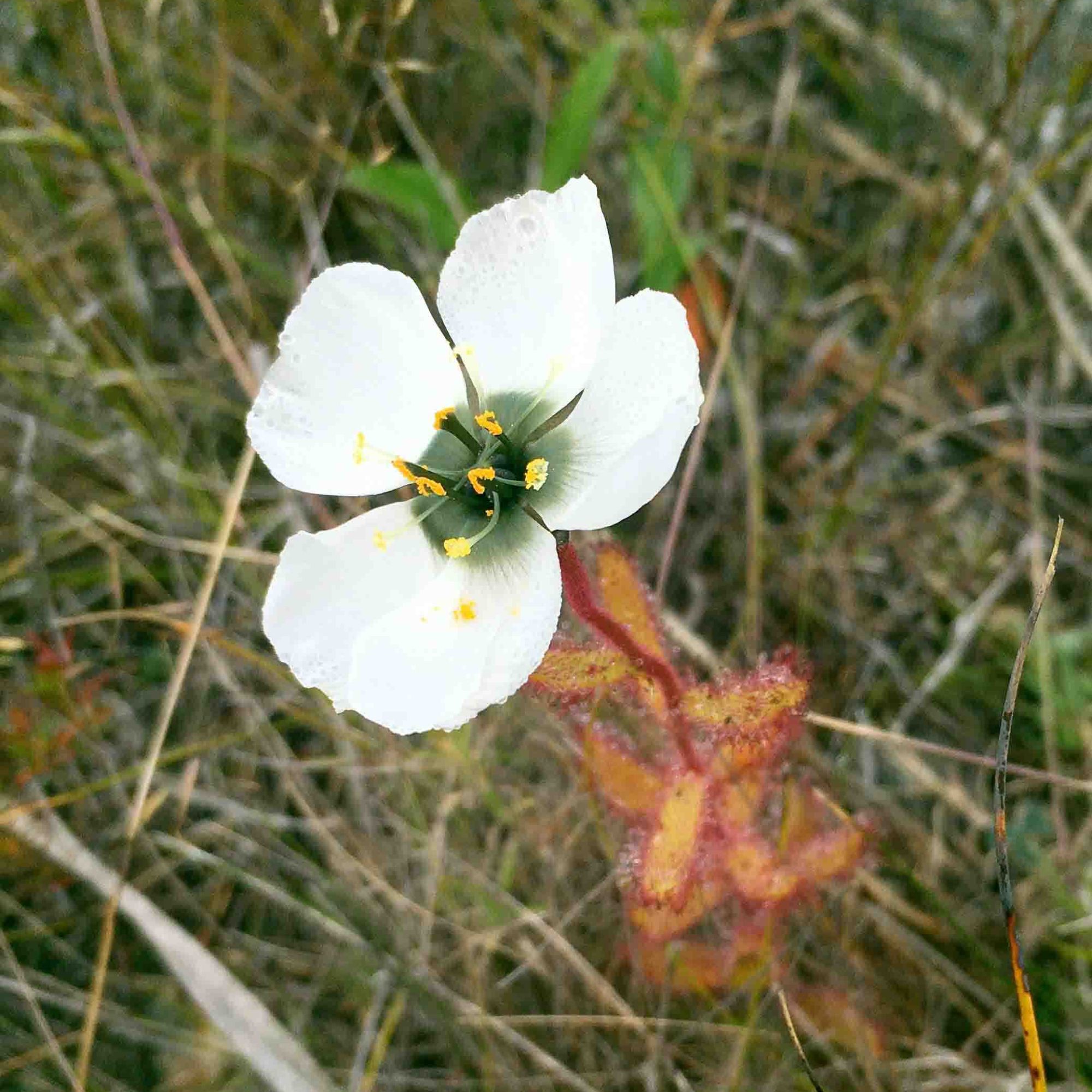 Image related to website content Image related to website content