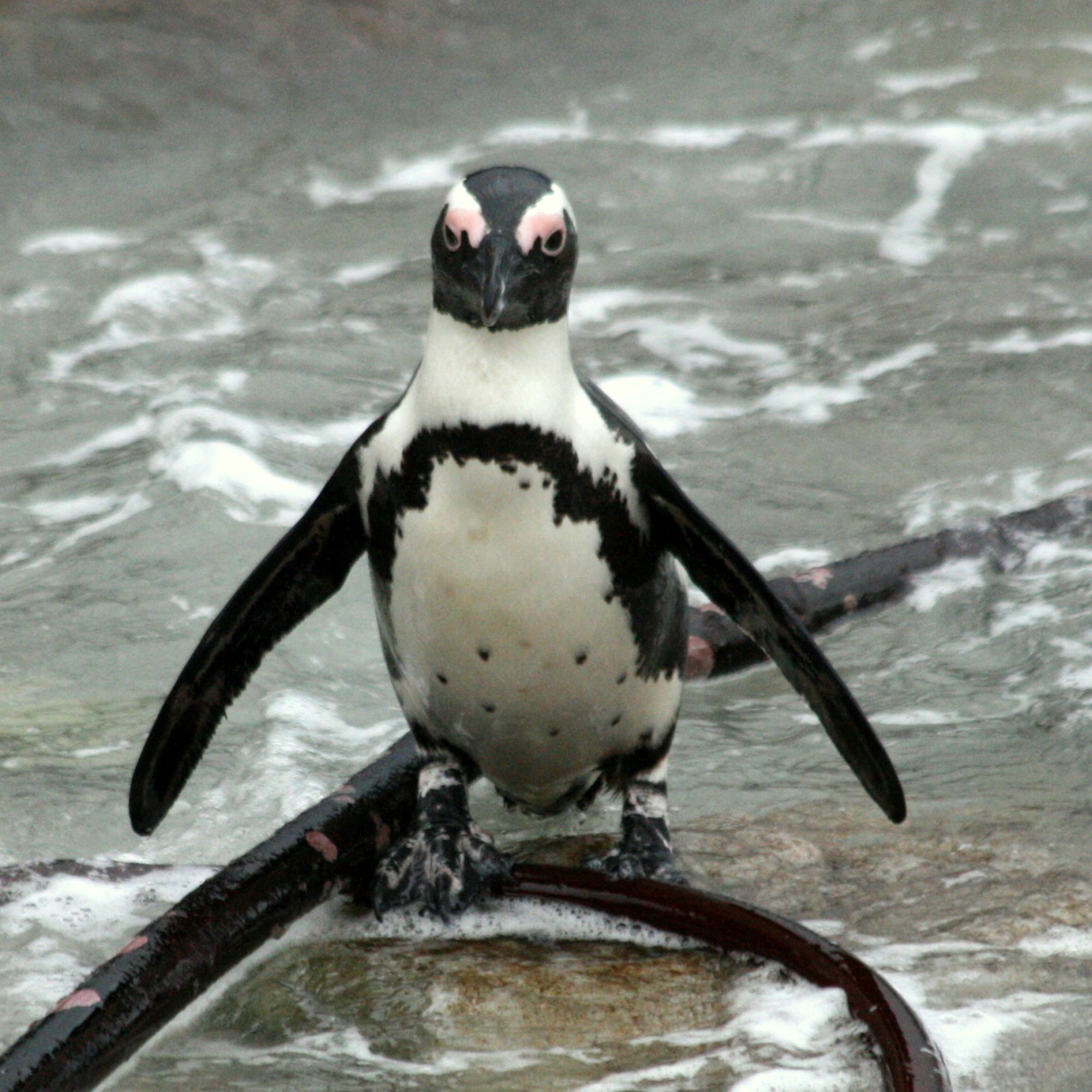 Image related to website content Image related to website content