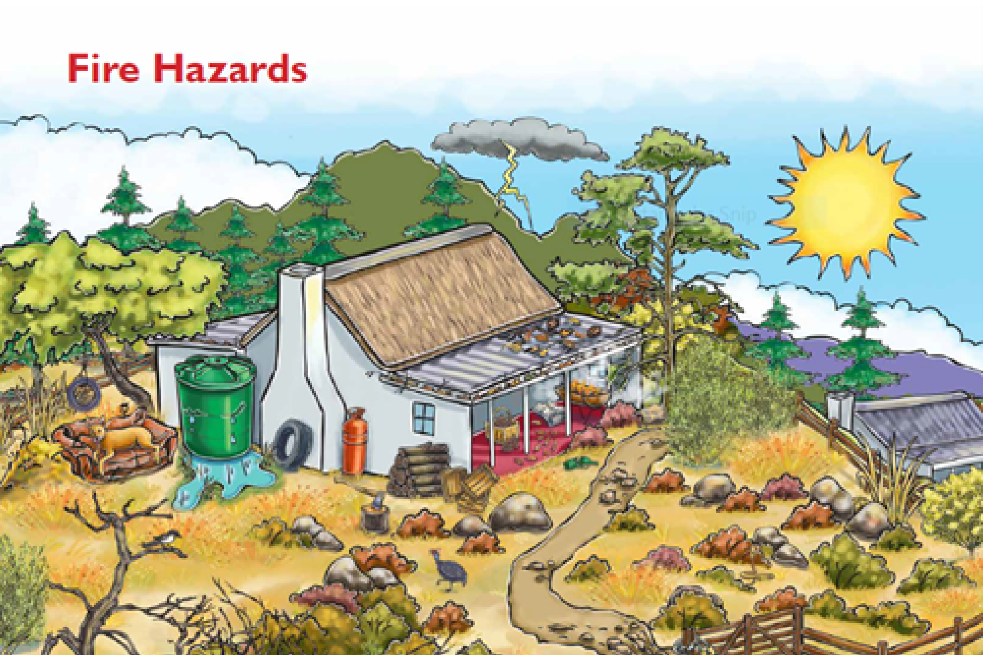 Image related to website content Image related to website content