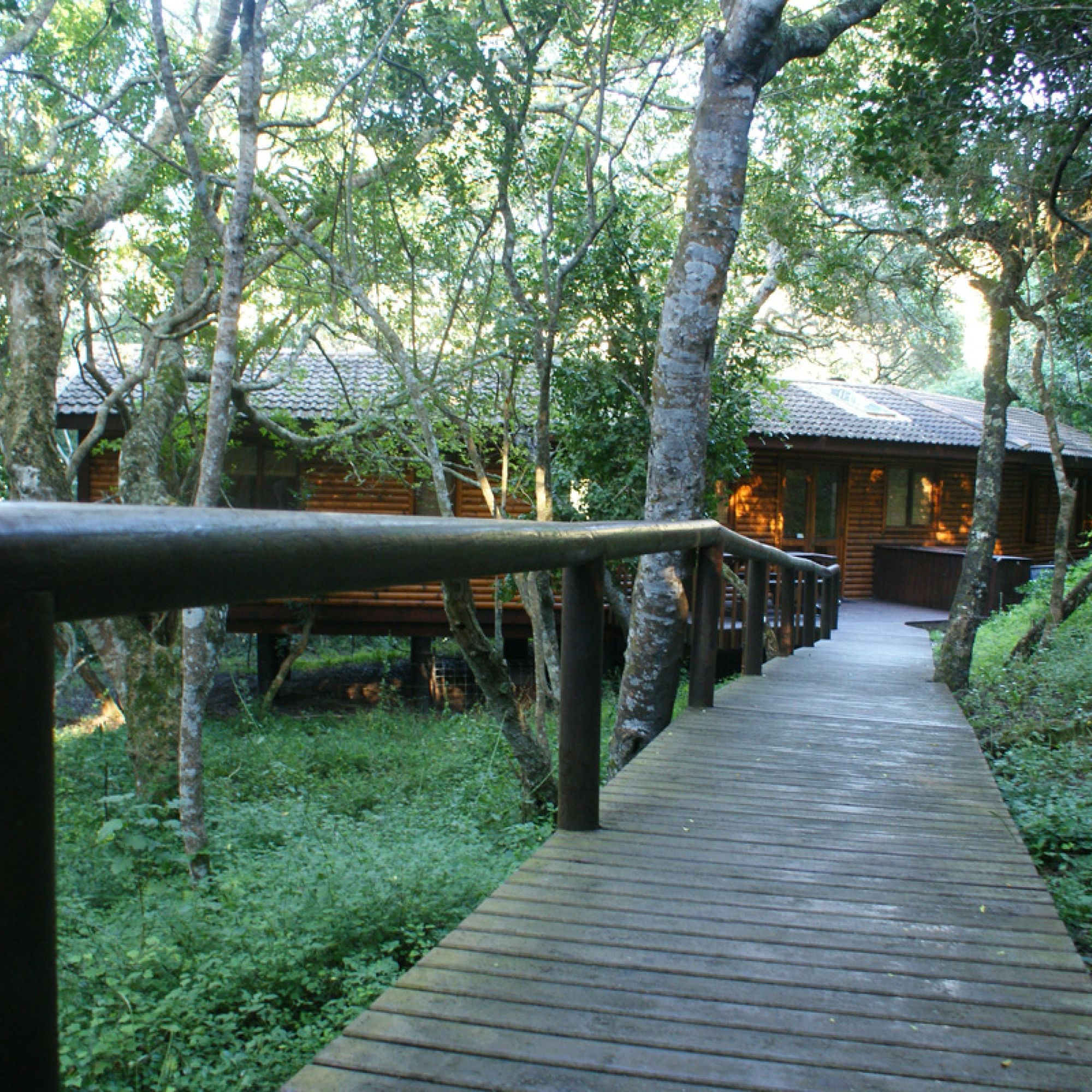 Forest Lodge DSC04551