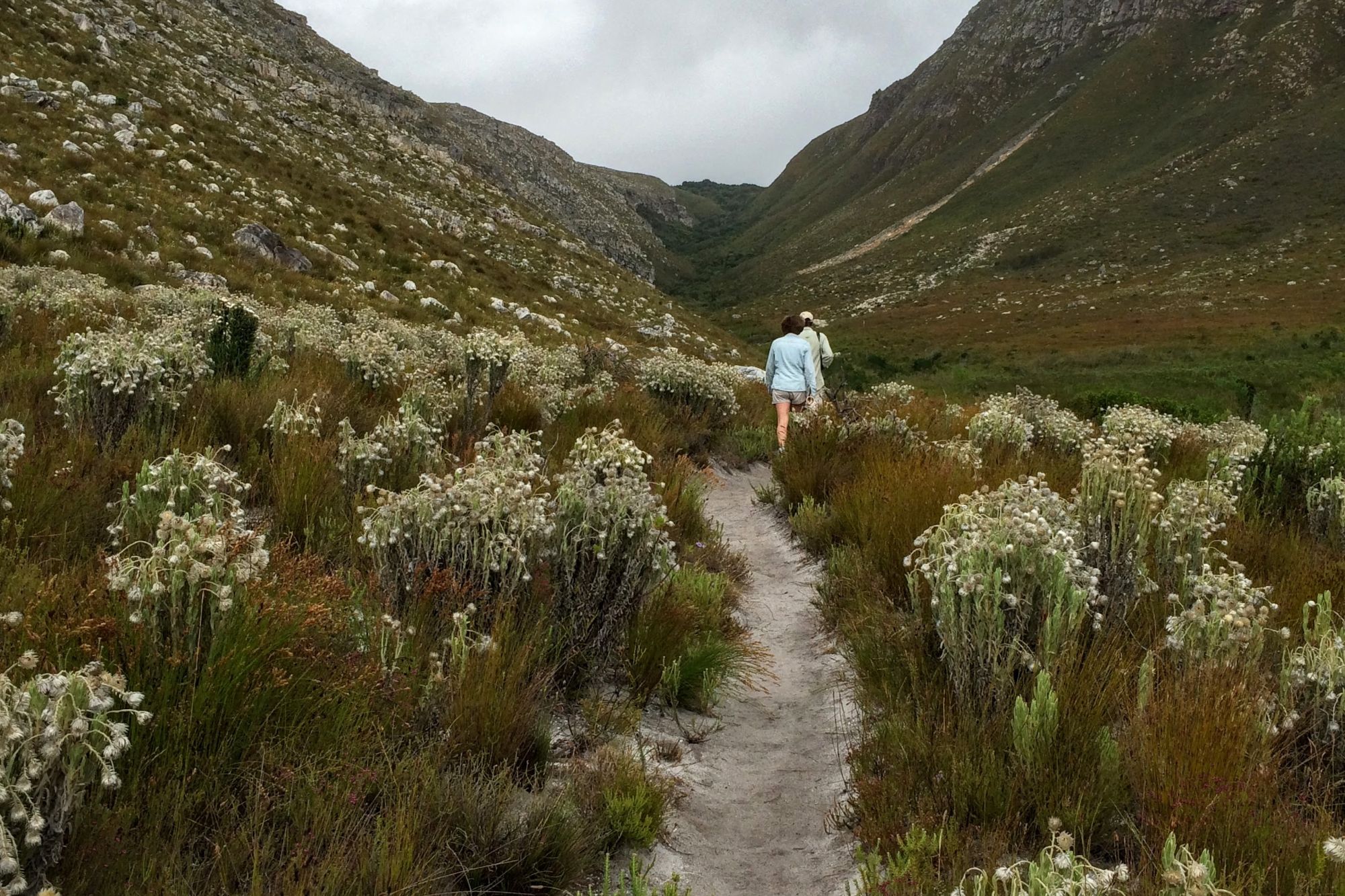 Image related to website content Image related to website content