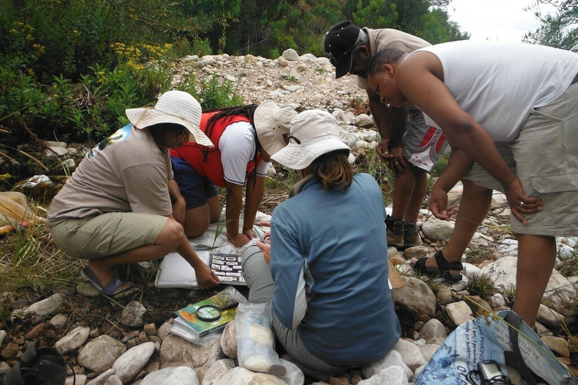 Image related to website content Image related to website content