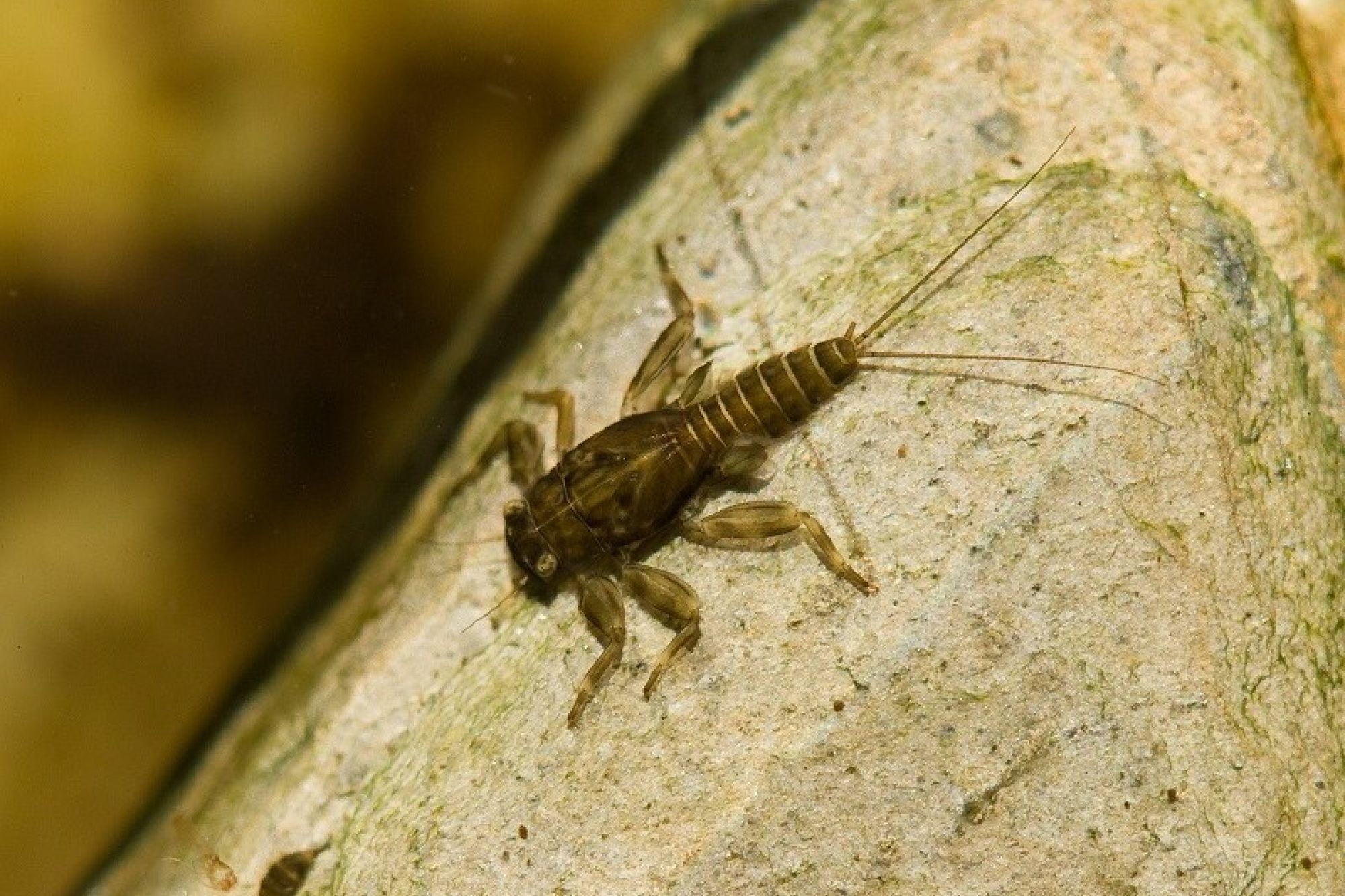 Image related to website content Image related to website content