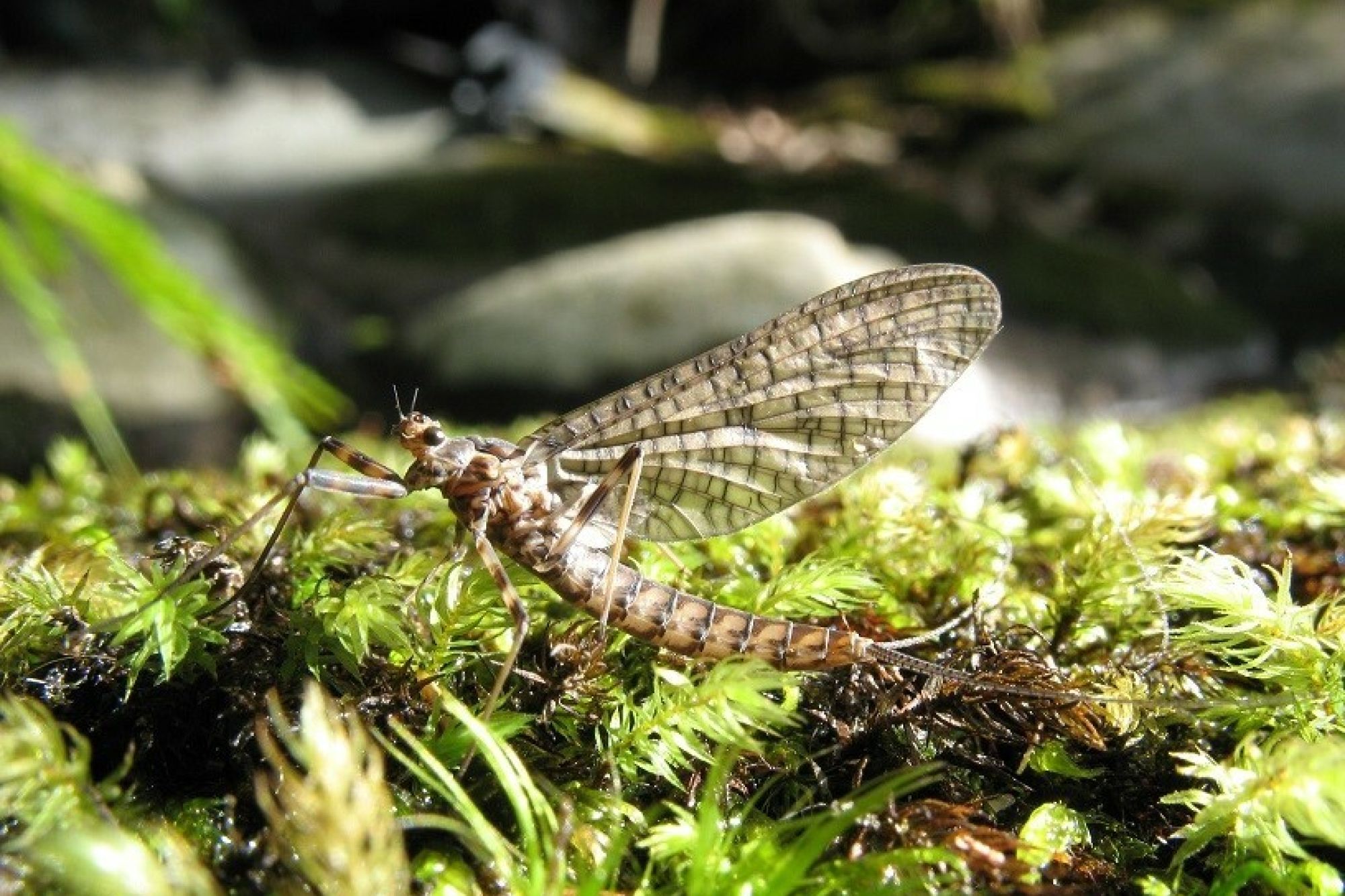 Image related to website content Image related to website content