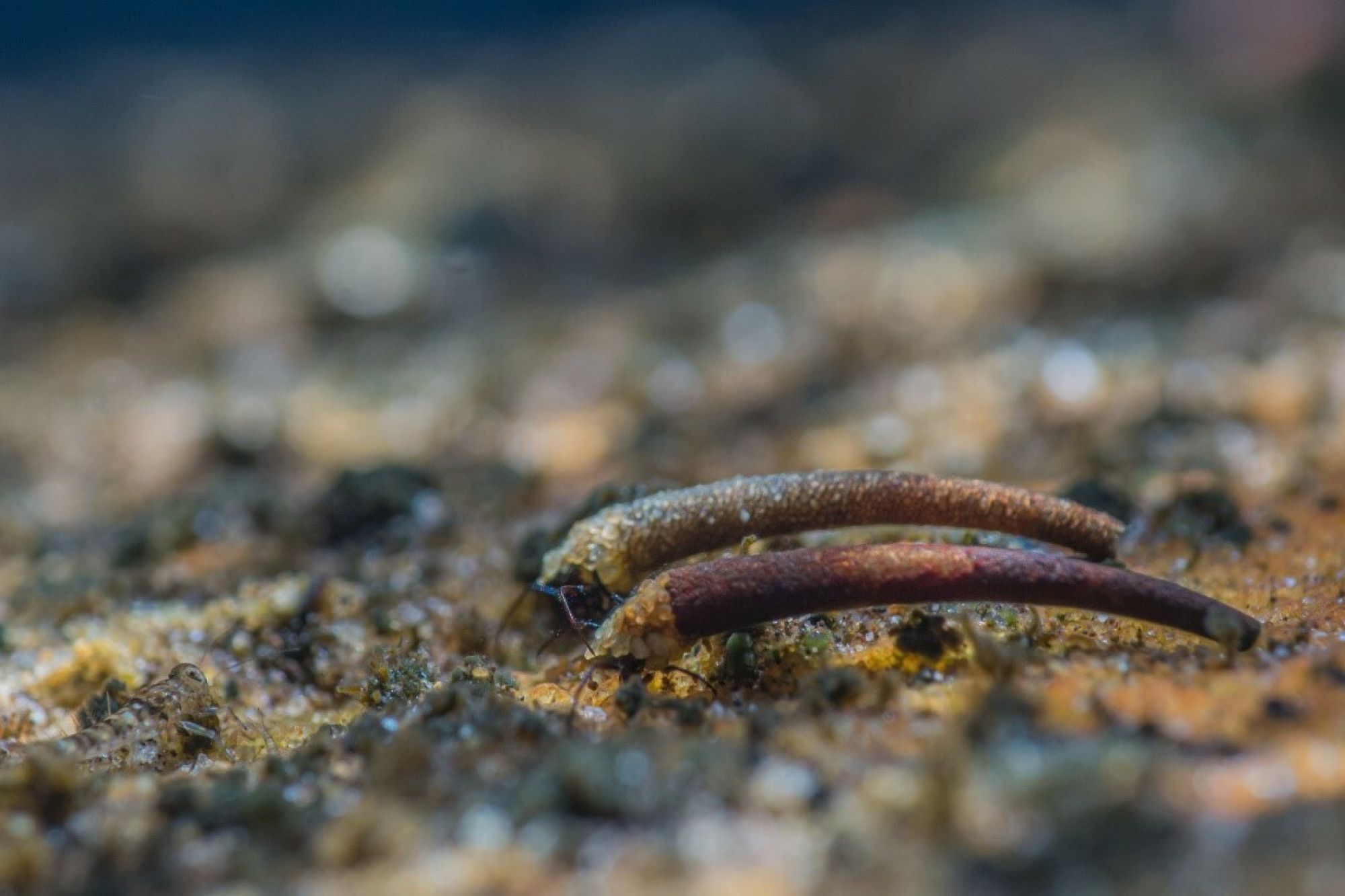 Image related to website content Image related to website content