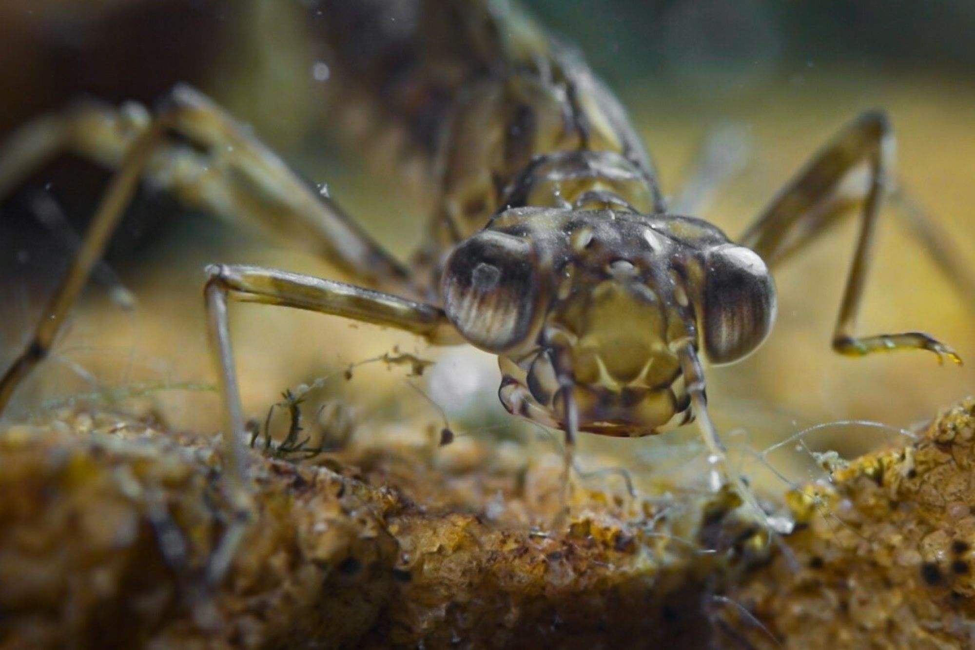 Image related to website content Image related to website content