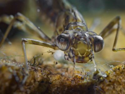 Image related to website content Image related to website content