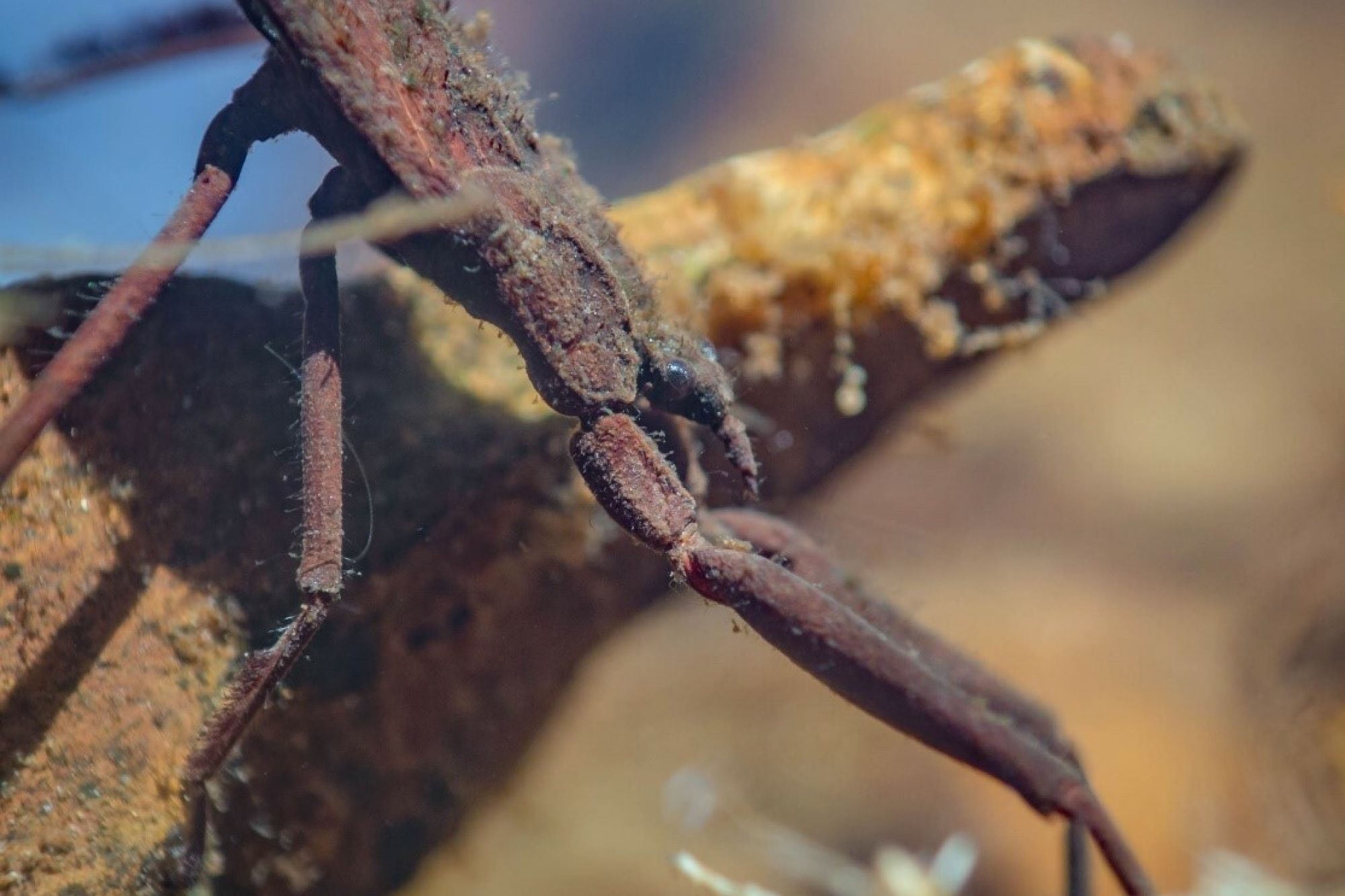 Image related to website content Image related to website content