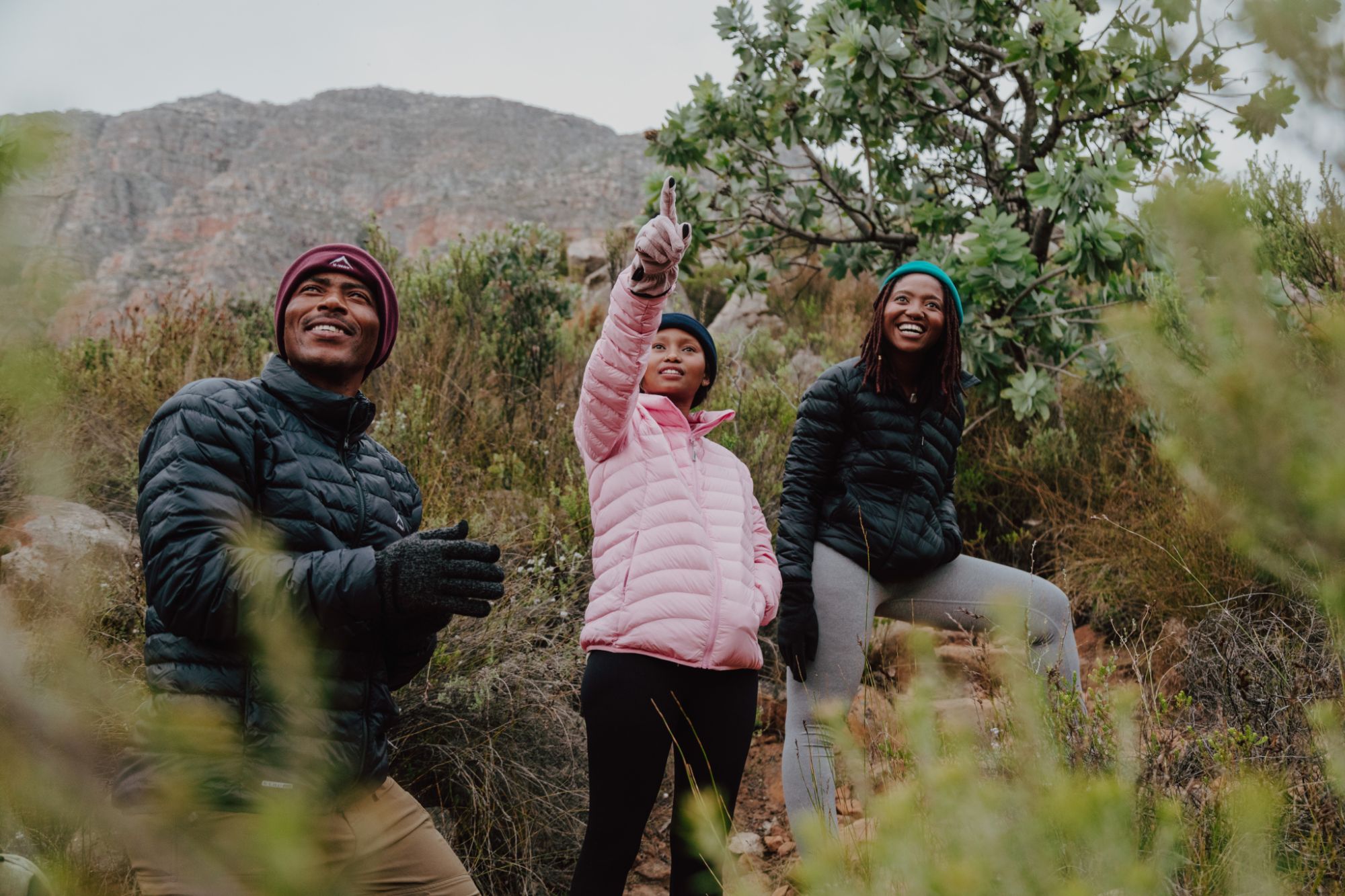 Image related to website content Image related to website content