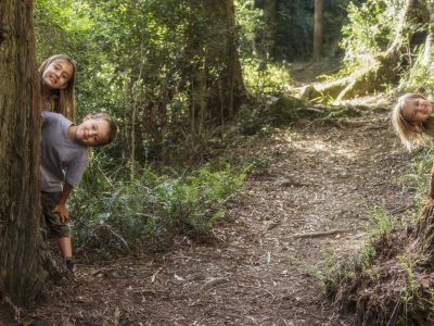 Image related to website content Image related to website content