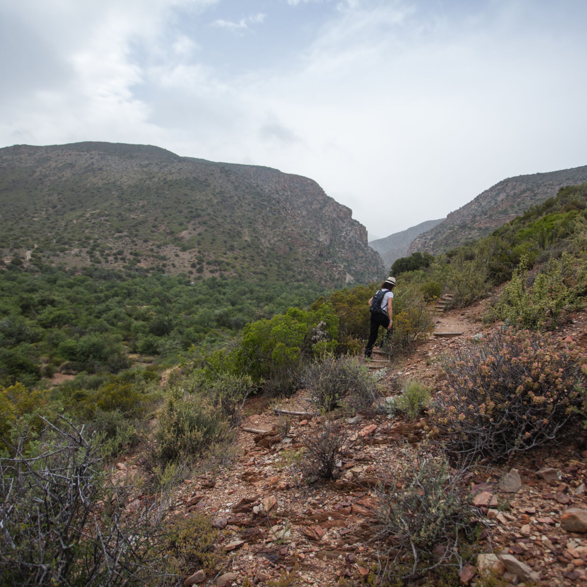 Image related to website content Image related to website content