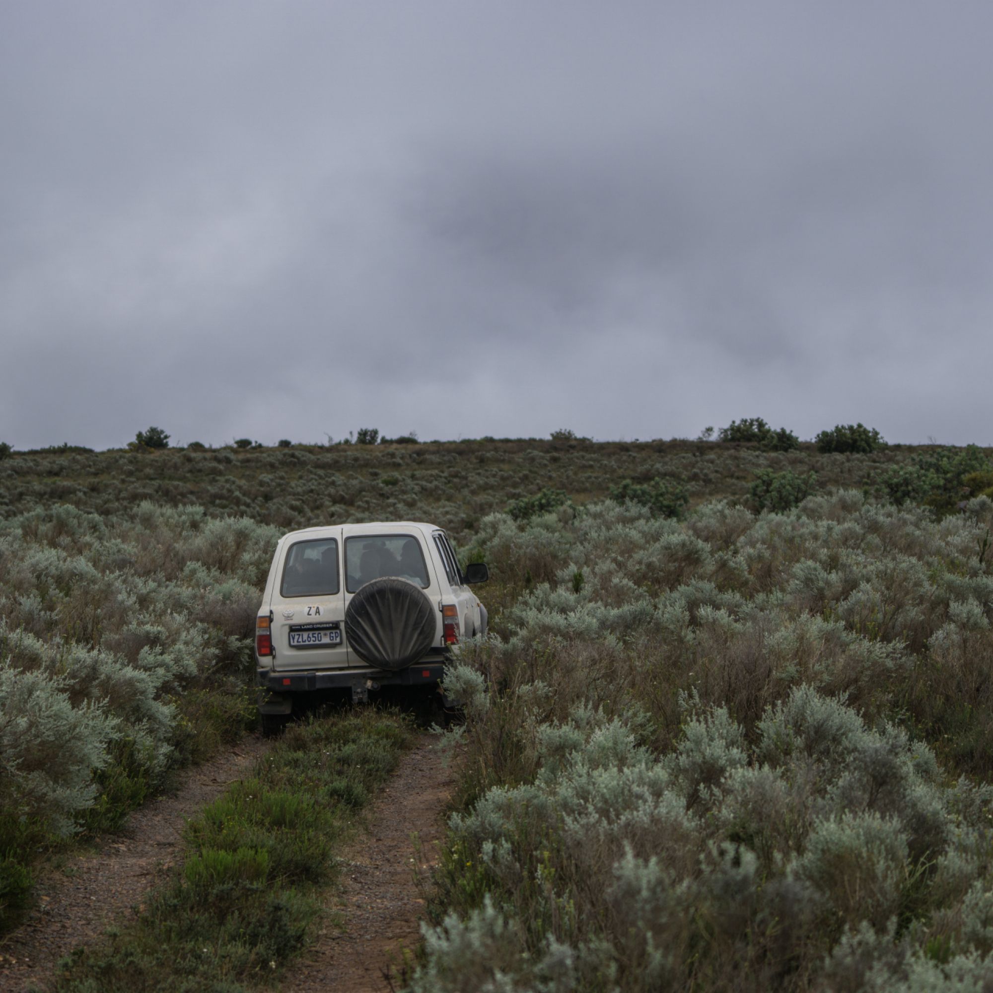 Image related to website content Image related to website content